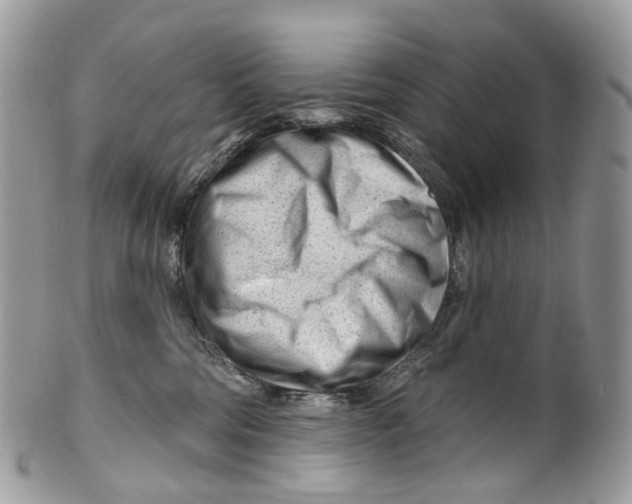 X0000099520330200806051217