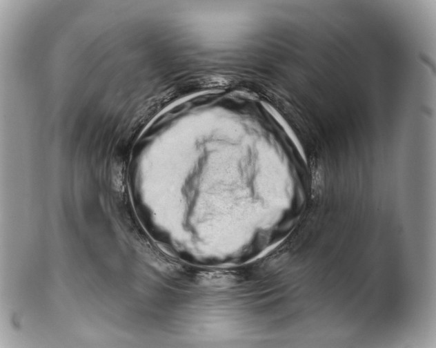 X0000099520331200806051217