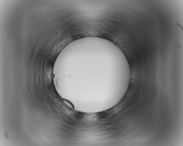 X0000099520334200806051217