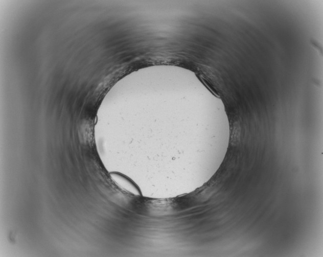 X0000099520335200806051217