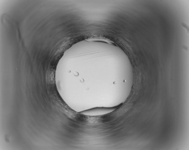 X0000099520336200806051217