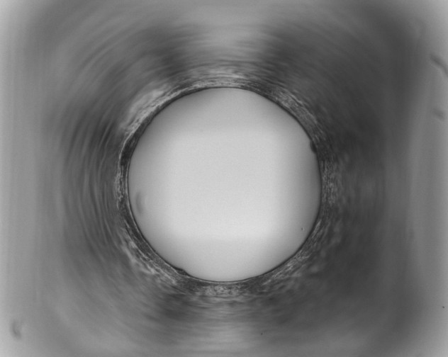 X0000099520338200806051216