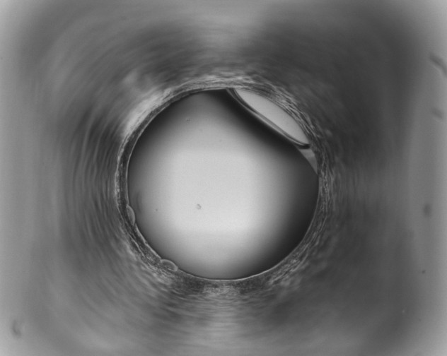 X0000099520340200806051216