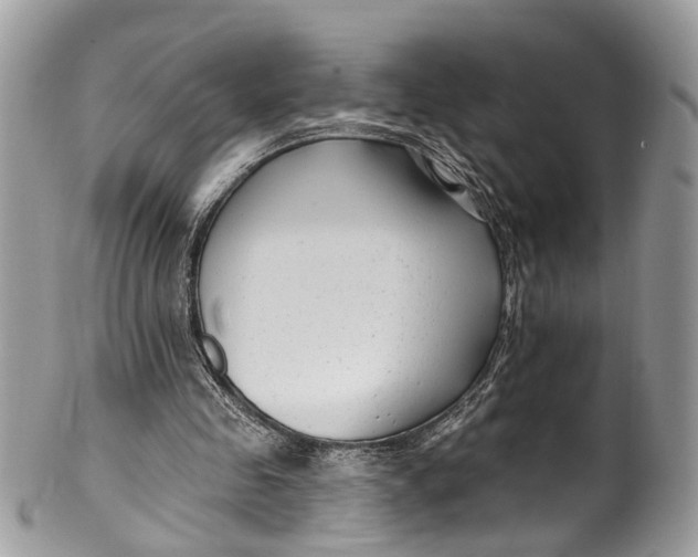 X0000099520341200806051216