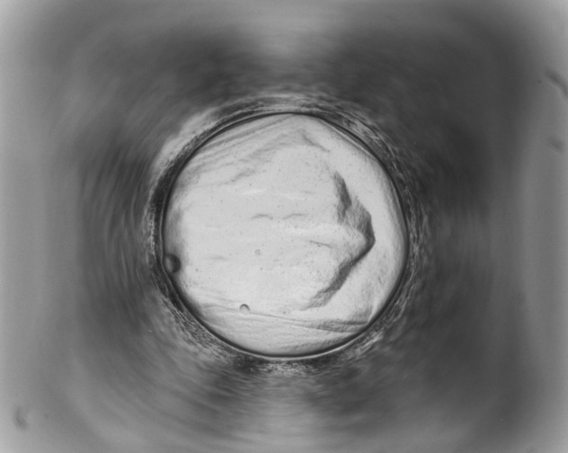 X0000099520343200806051216