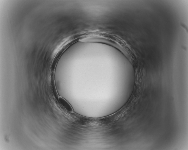 X0000099520344200806051216