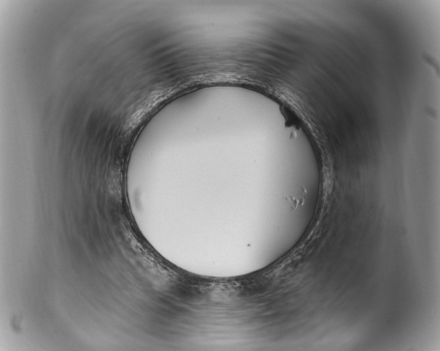 X0000099520345200806051216