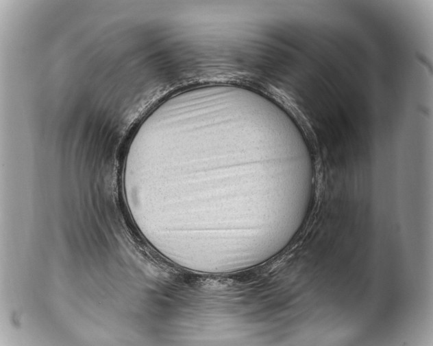 X0000099520346200806051216