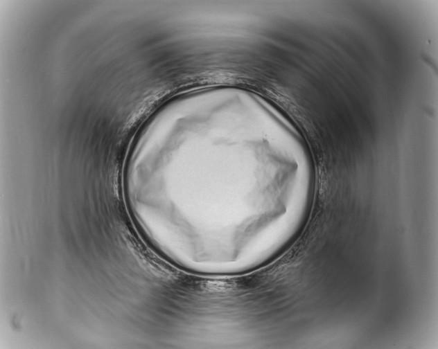 X0000099520347200806051216