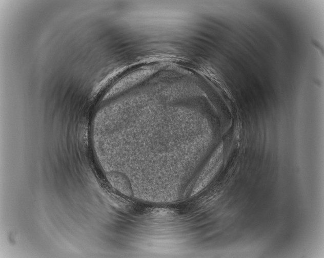 X0000099520348200806051216