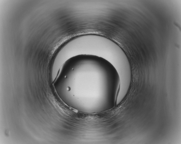 X0000099520350200806051216