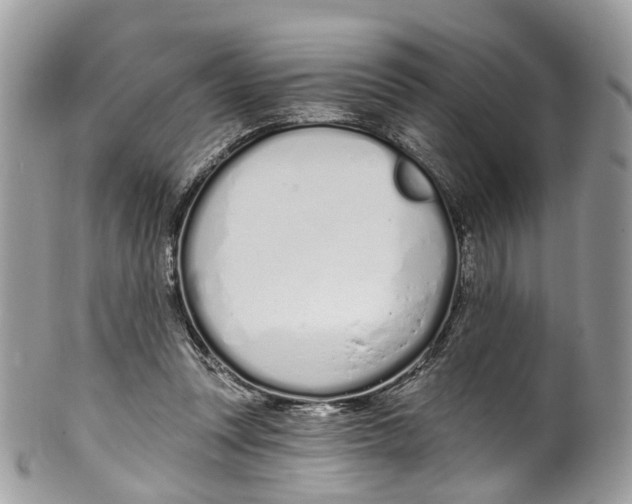 X0000099520351200806051216