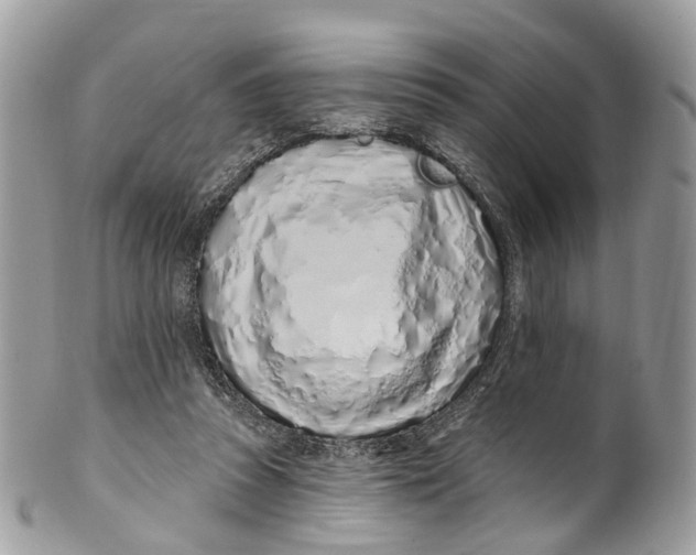 X0000099520353200806051216