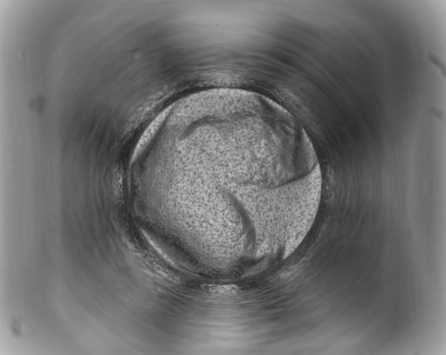 X0000099520355200806051216