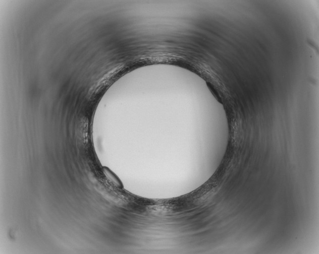 X0000099520356200806051216