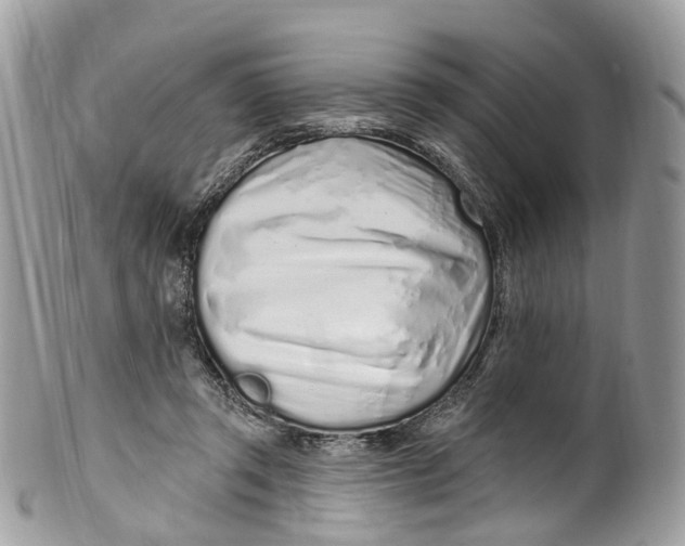 X0000099520357200806051216