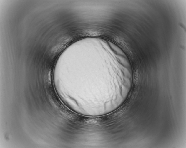 X0000099520358200806051216