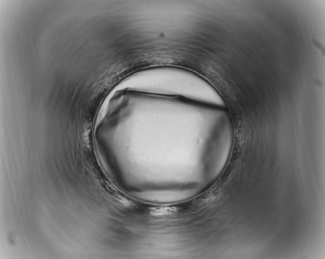 X0000099520359200806051216