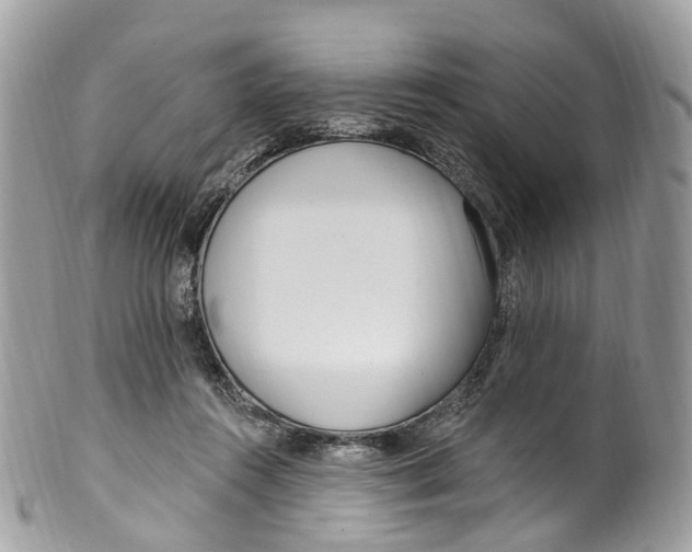 X0000099520360200806051216