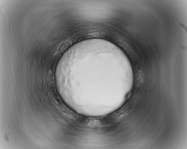 X0000099520361200806051216