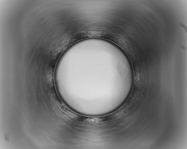 X0000099520367200806051217