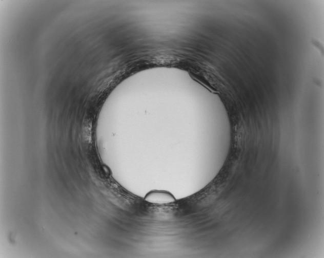 X0000099520368200806051217