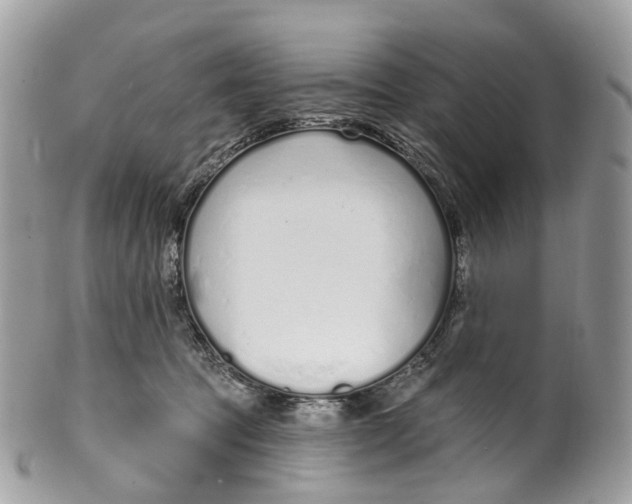 X0000099520369200806051217