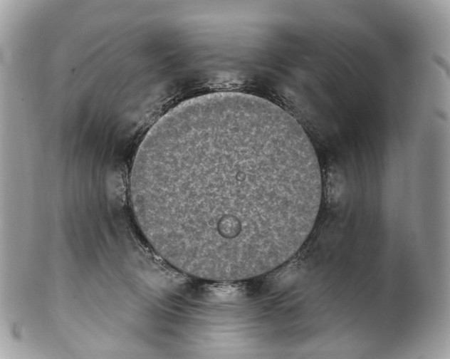 X0000099520370200806051217