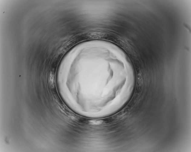 X0000099520371200806051217