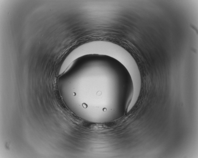 X0000099520372200806051217