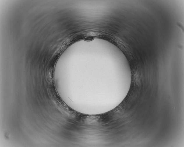 X0000099520373200806051217