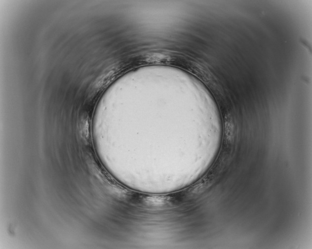 X0000099520375200806051217