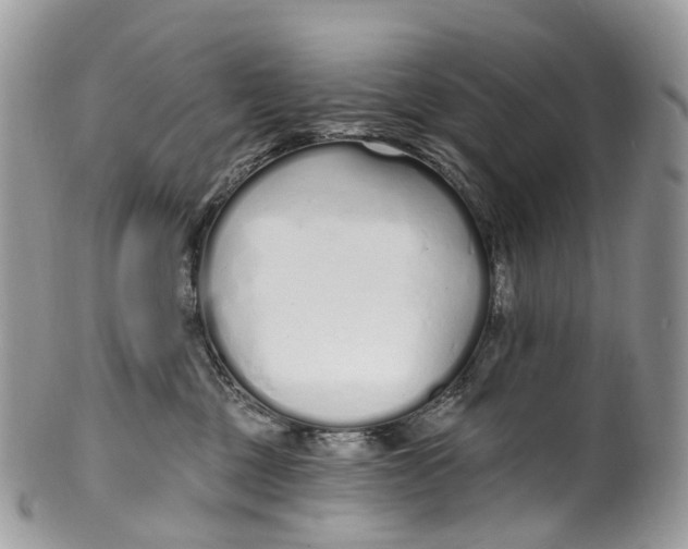 X0000099520377200806051217