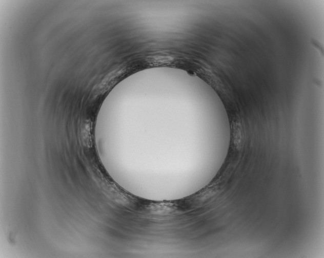 X0000099520378200806051217