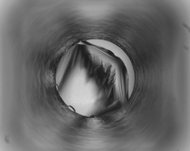 X0000099520380200806051217