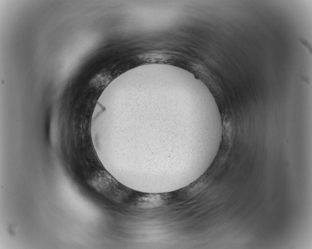 X0000099520381200806051217