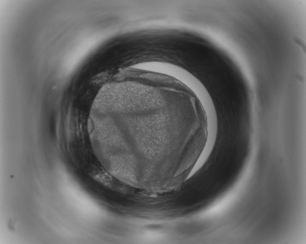 X0000099520382200806051217