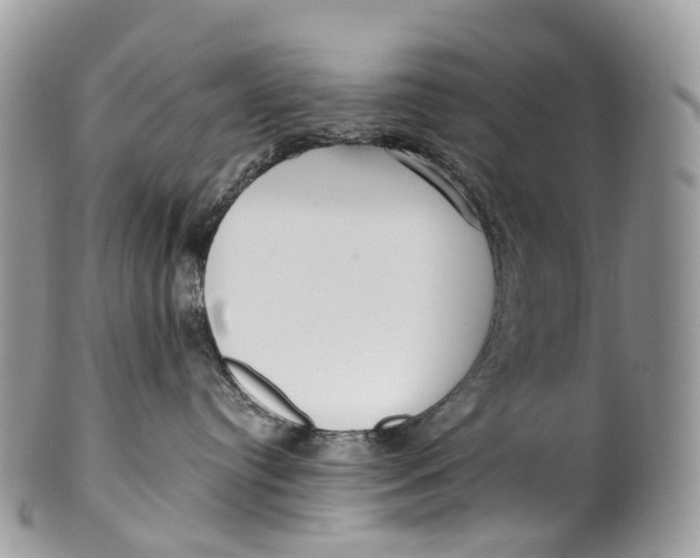 X0000099520384200806051217