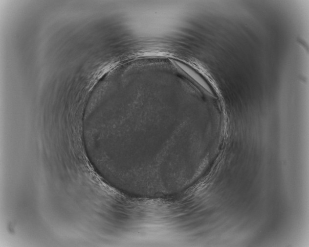 X0000099520385200806051216