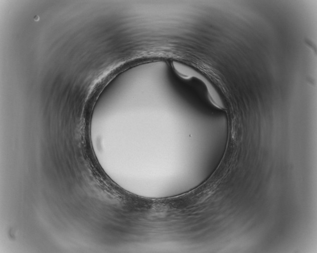 X0000099520388200806051216