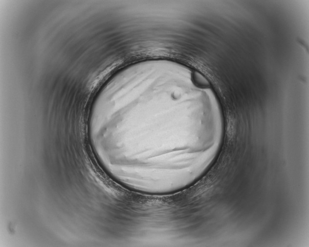 X0000099520390200806051216