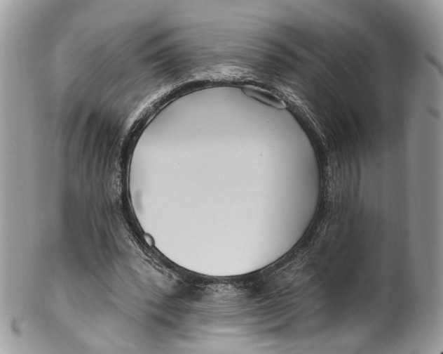 X0000099520392200806051216