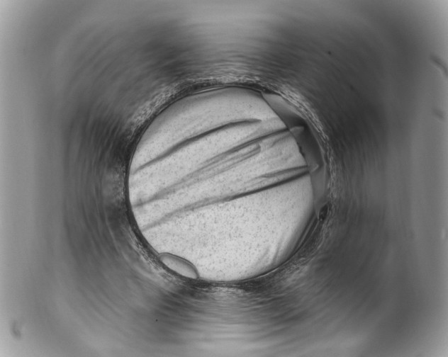 X0000099520393200806051216