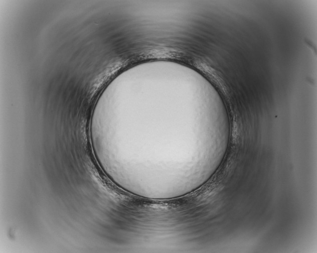 X0000099520394200806051216