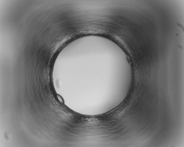 X0000099520395200806051216