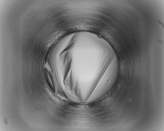 X0000099520398200806051216