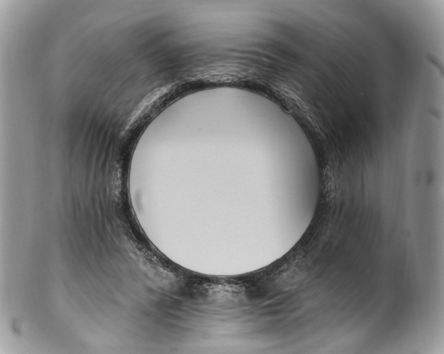 X0000099520400200806051216