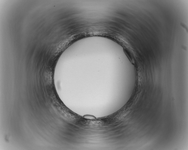 X0000099520401200806051216