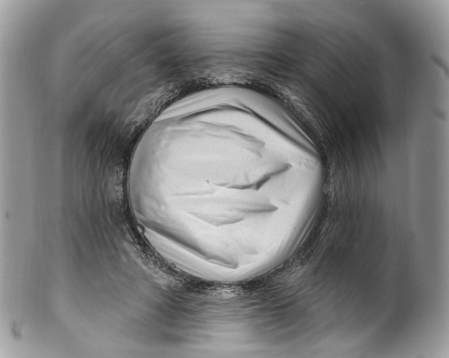 X0000099520402200806051216