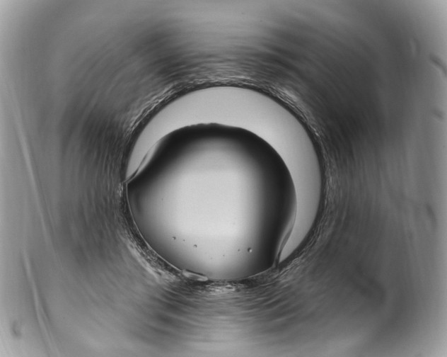 X0000099520405200806051216